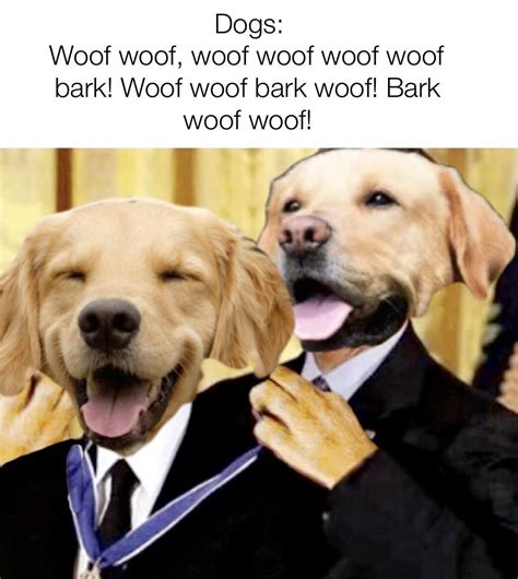 Photos at Woof Woof K.